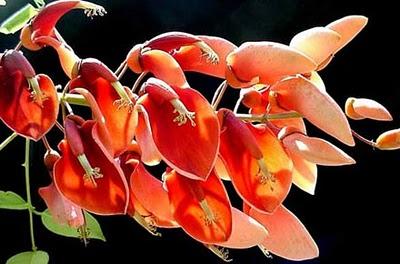 200 años de Paisaje Argentino