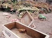 Pequeña invitación