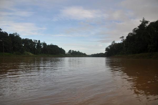 El río al amanecer – Segunda actividad