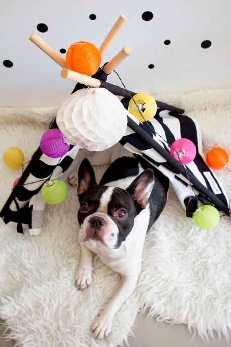 Decorar bonito con la cama de tu mascota: OKER Y SU TIPI DE TO THE WILD
