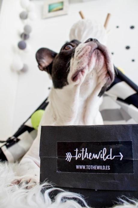 Decorar bonito con la cama de tu mascota: OKER Y SU TIPI DE TO THE WILD