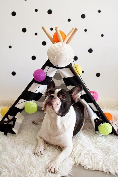 Decorar bonito con la cama de tu mascota: OKER Y SU TIPI DE TO THE WILD