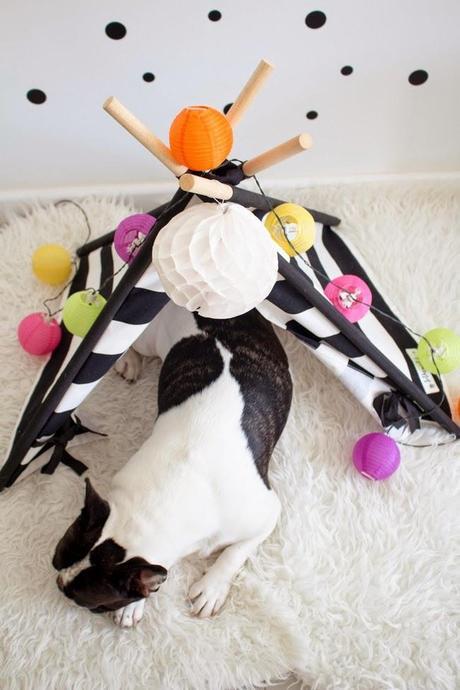 Decorar bonito con la cama de tu mascota: OKER Y SU TIPI DE TO THE WILD