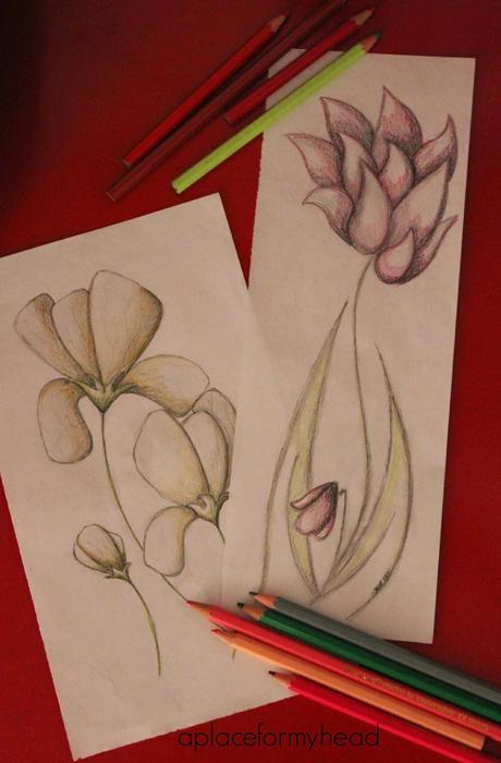 Dibujo rápido: flores a lápiz