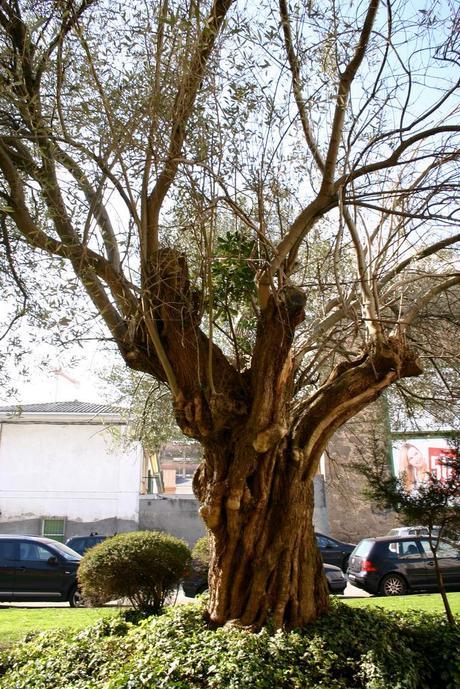 santa margarita_49_20140308 - Version 2