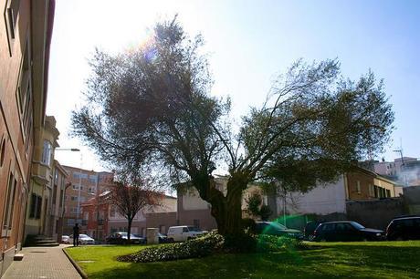 santa margarita_57_20140308 - Version 2