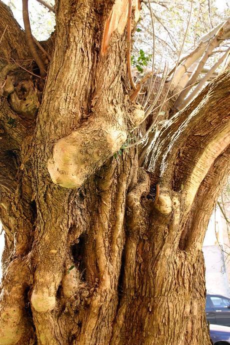 santa margarita_53_20140308 - Version 2