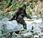 yeti desvanece ante ciencia