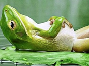 Descanso forzado: paséis buen verano!