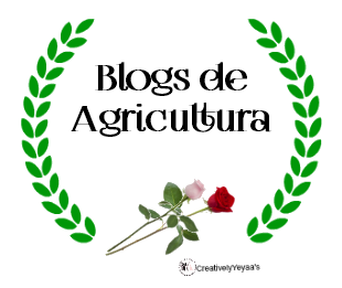 Logos para enlazar Blogs