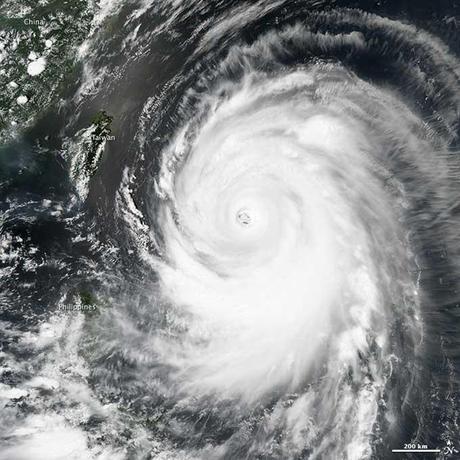 tifón Neoguri desde satélite