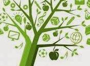 Calidad educativa principios