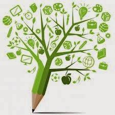 Calidad educativa y sus principios