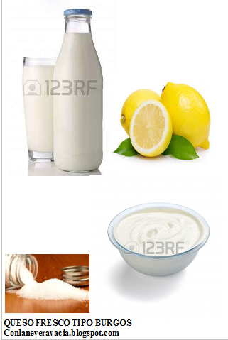 QUESO FRESCO TIPO BURGOS.