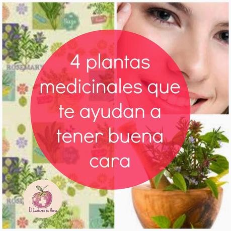 4 plantas medicinales que te ayudan a tener buena cara