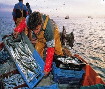 GORE LIMA RATIFICA APOYO A LOS PESCADORES ARTESANALES…