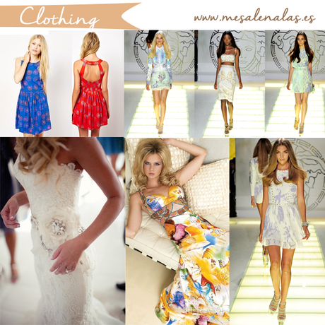 Weekly inspiration: seashells