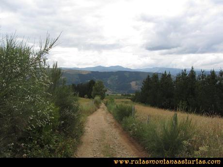 Ruta Cangas - Acebo: Bajando a Curriellos