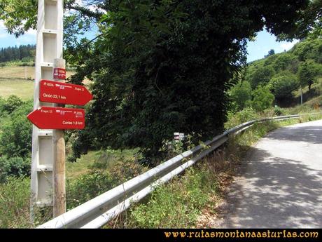 Ruta Cangas - Acebo: Junto a Vallinas, tomamos la carretera