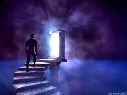 evolucion de la conciencia