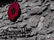 Finca Viladellops, vinos telúricos