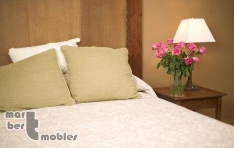 Las Plagas de Termitas, el peor enemigo de los muebles