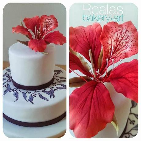 DOLCE & BANANA: Amigos para Todo!