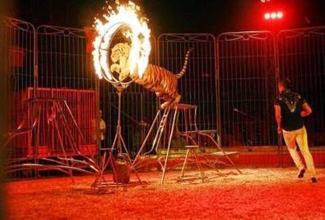 México. Animales fuera de los circos