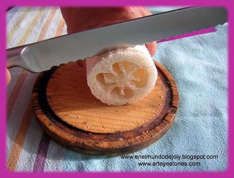 JARRON CON ESPONJA LUFA!!!