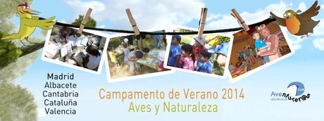 Campamento-verano-20142-1024x385