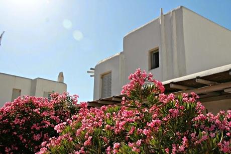 hotel en Mykonos: Ftelia Bay Boutique