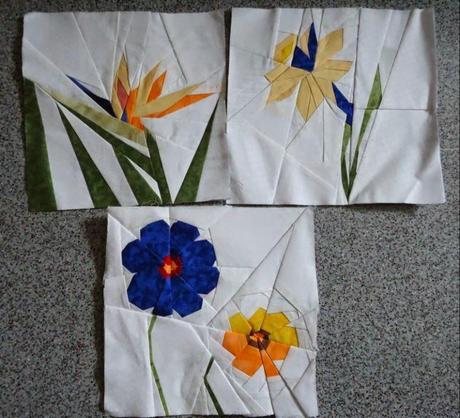 Sal Flores.....Cosmos