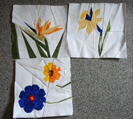 Sal Flores.....Cosmos