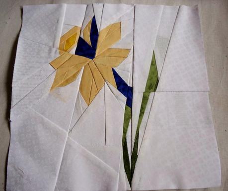 Sal Flores...Junquillo