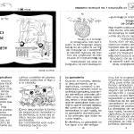 5to grado: La agricultura y las primeras ciudades la agricultura y las primeras ciudades