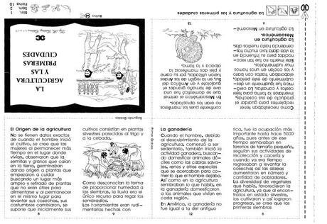 5to grado: La agricultura y las primeras ciudades la agricultura y las primeras ciudades