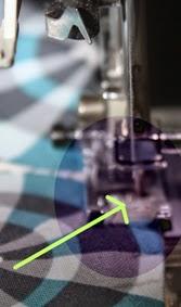 C.C. Pamela y Sombrero de verano. Día 5