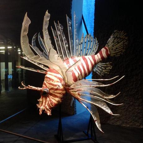 museu blau forum peixets