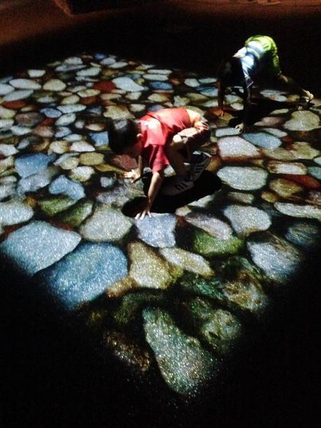 museu blau planeta terra lataat