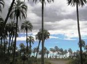 Entre Rios, Palmar otras cosas.