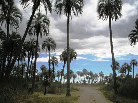 Entre Rios, el Palmar y otras cosas.