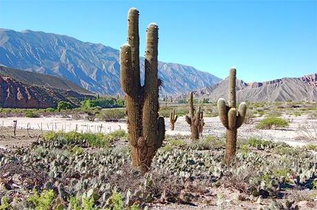 Jujuy tierra de contrastes.