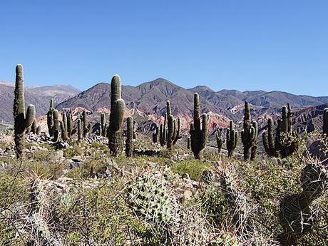 Jujuy tierra de contrastes.