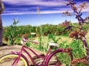 Peter Buck: Mucho ruido pocas nueces