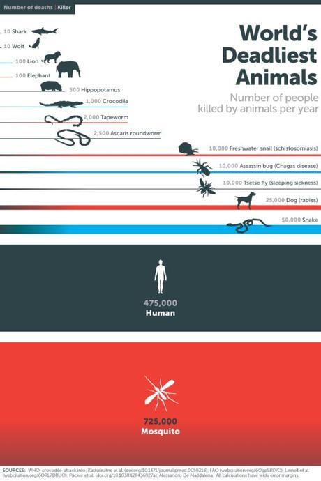 infografía