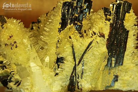 Divina cristalización abstracta. Fotografía creativa - Fotografía decorativa - Venta de fotografías para banco de imagen