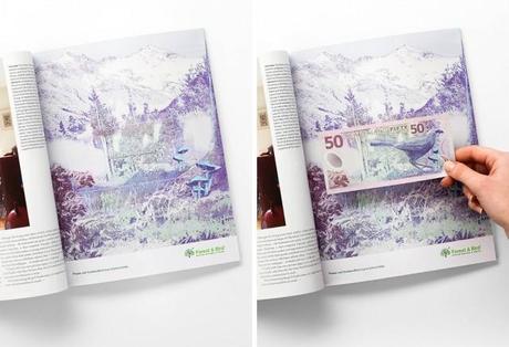 Forest-Bird-Dollar-Bills-Ads.jpeg2_-640x438
