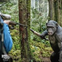 Los simios inician la guerra, Galería.