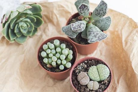 From above