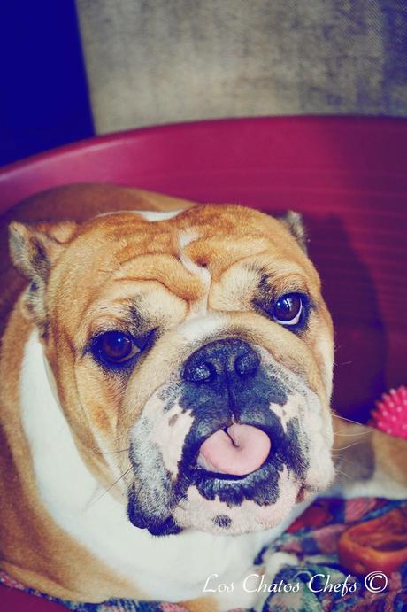 Pumpkin Pie Ice Cream ( helado de tarta de calabaza)